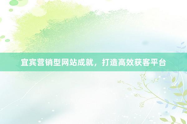 宜宾营销型网站成就，打造高效获客平台