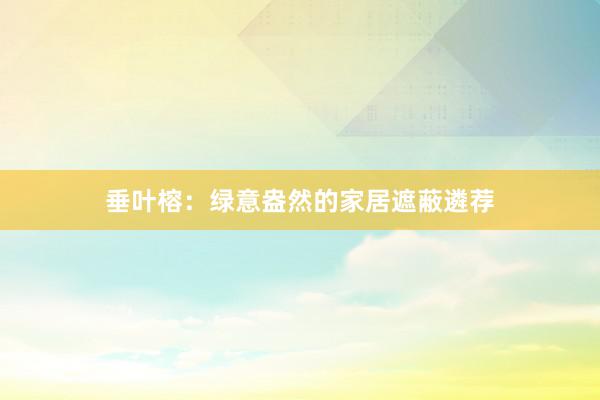 垂叶榕：绿意盎然的家居遮蔽遴荐