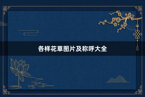 各样花草图片及称呼大全